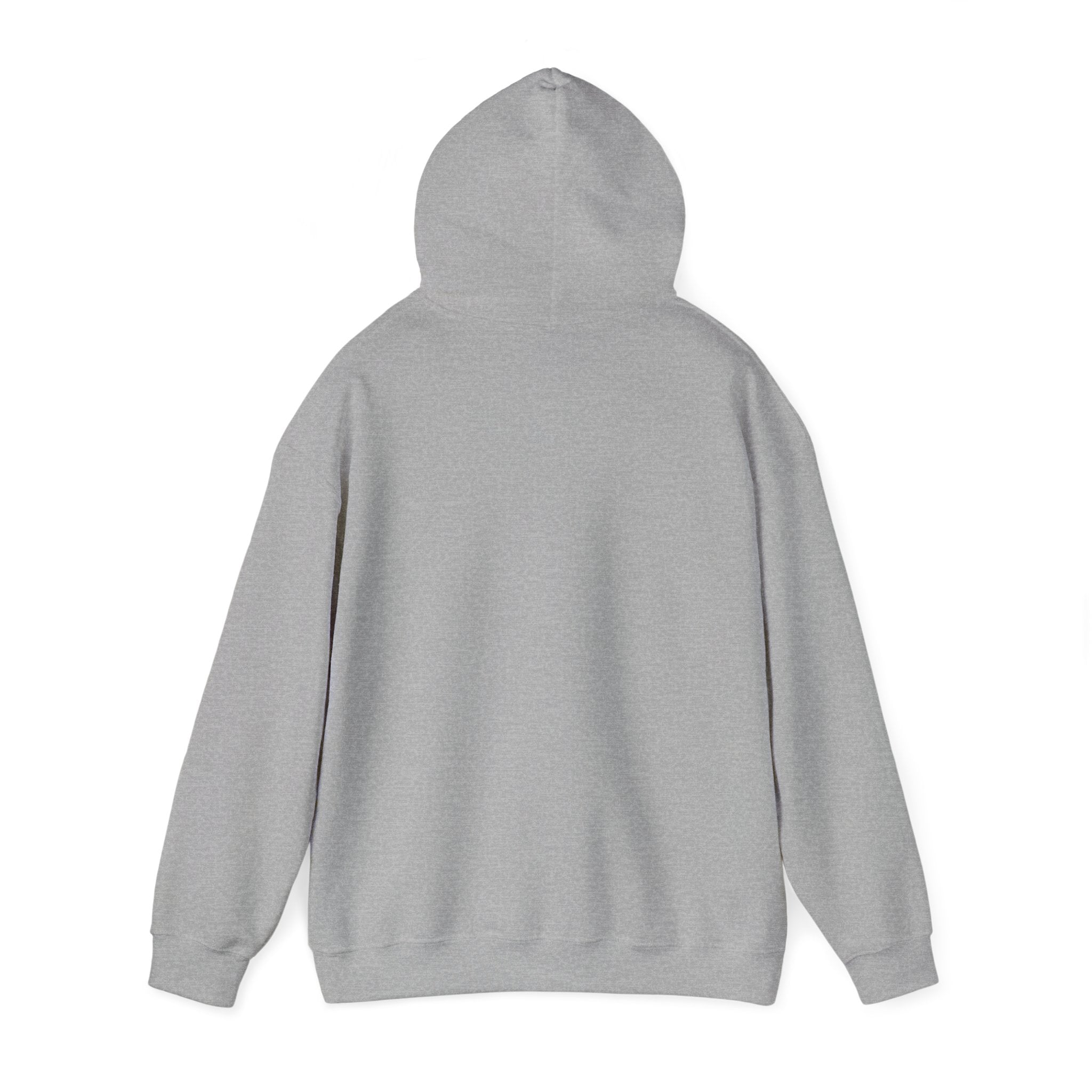 Libra Unisex Heavy Blend™ Hooded Sweatshirt